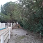 Antiqua Roma - Via Temporis Cxiv * Alénya