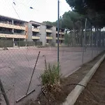 Antiqua Roma - Via Temporis Cxiv * Alénya