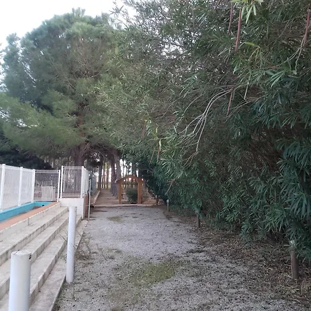 Antiqua Roma - Via Temporis Cxiv * Alénya