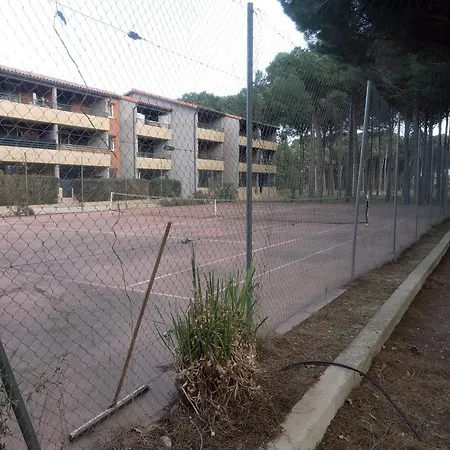 Antiqua Roma - Via Temporis Cxiv * Alénya
