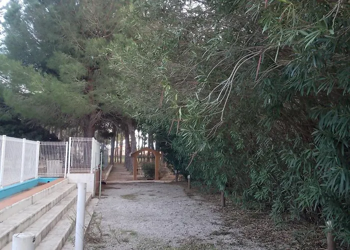 Antiqua Roma - Via Temporis Cxiv * Alénya